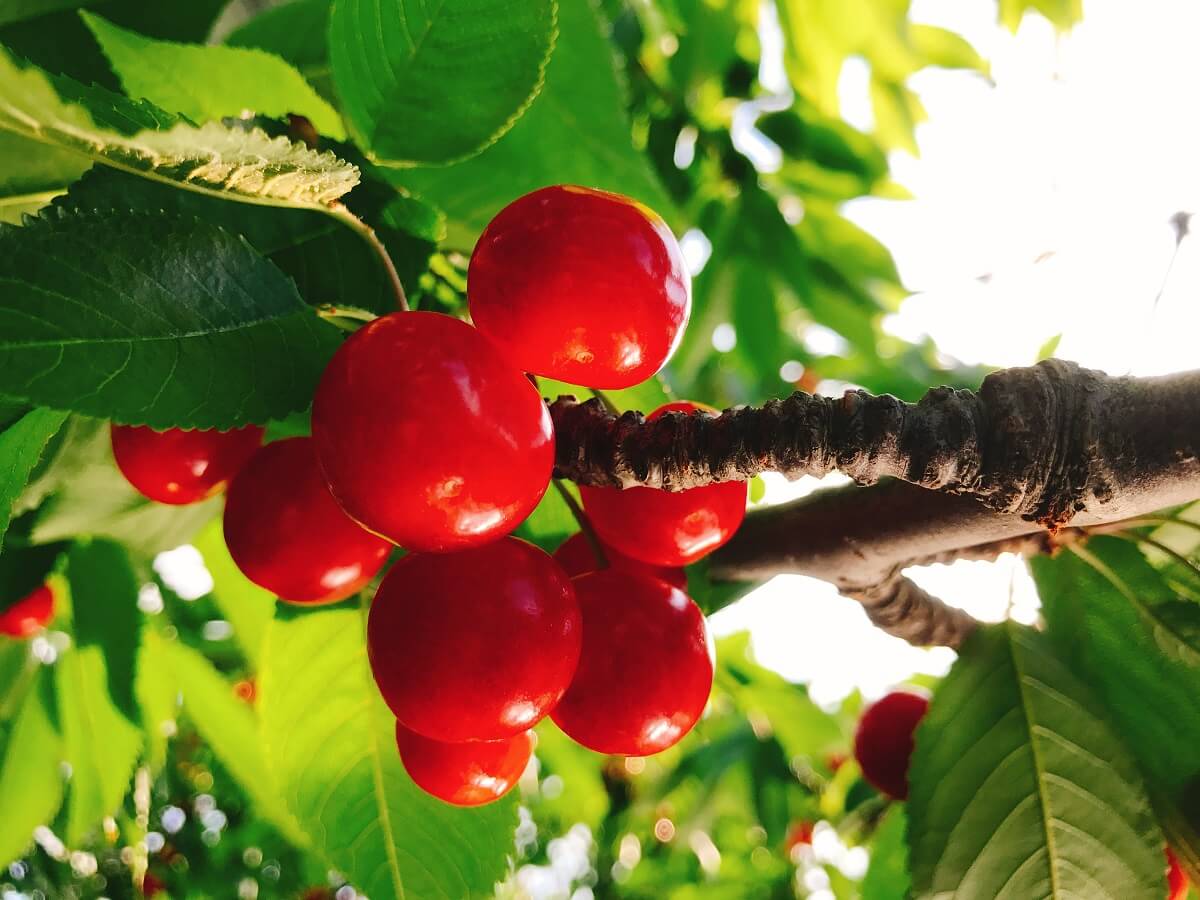 48b99292681b57944b9c35647b46d1