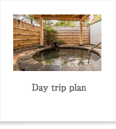 Day trip plan